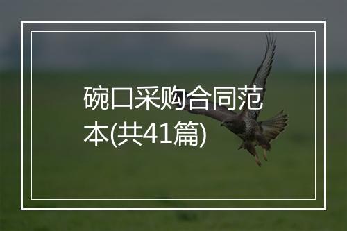 碗口采购合同范本(共41篇)