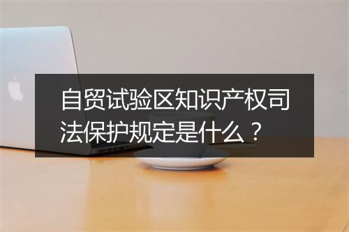 自贸试验区知识产权司法保护规定是什么?