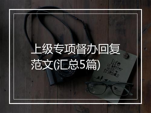 上级专项督办回复范文(汇总5篇)