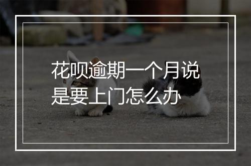 花呗逾期一个月说是要上门怎么办
