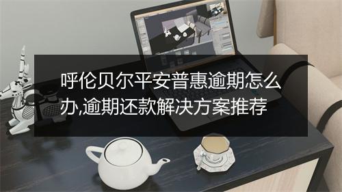 呼伦贝尔平安普惠逾期怎么办,逾期还款解决方案推荐