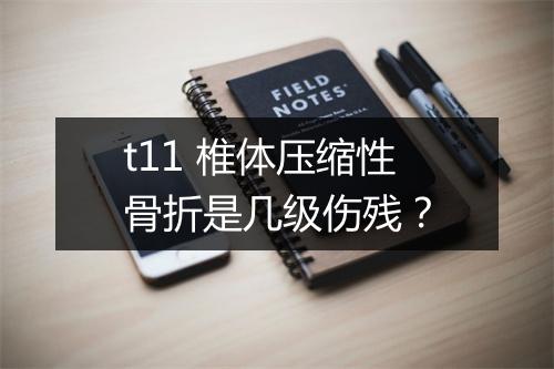 t11 椎体压缩性骨折是几级伤残?