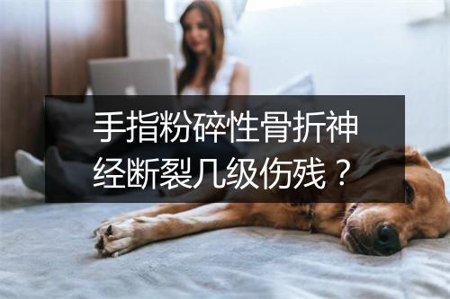 手指粉碎性骨折神经断裂几级伤残?