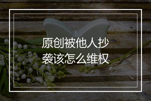原创被他人抄袭该怎么维权