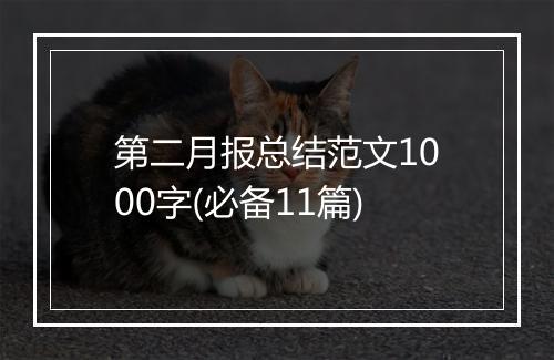 第二月报总结范文1000字(必备11篇)