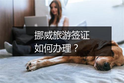 挪威旅游签证如何办理?