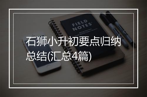 石狮小升初要点归纳总结(汇总4篇)