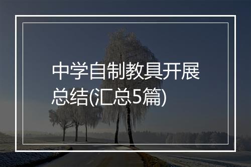 中学自制教具开展总结(汇总5篇)