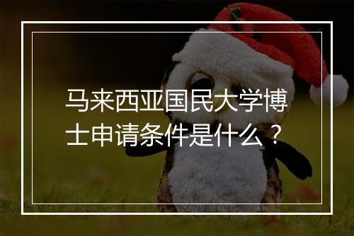 马来西亚国民大学博士申请条件是什么?