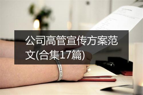 公司高管宣传方案范文(合集17篇)
