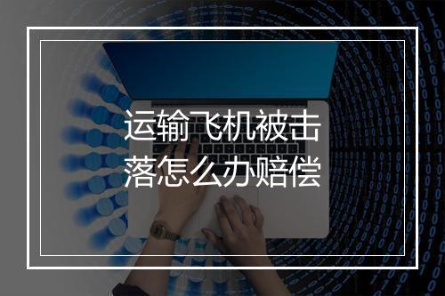 运输飞机被击落怎么办赔偿
