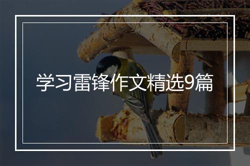 学习雷锋作文精选9篇
