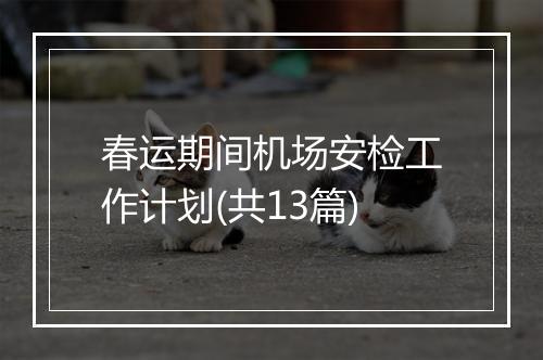 春运期间机场安检工作计划(共13篇)