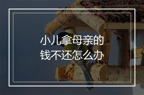 小儿拿母亲的钱不还怎么办