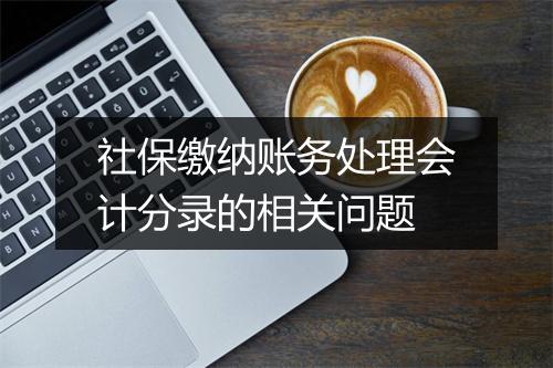 社保缴纳账务处理会计分录的相关问题