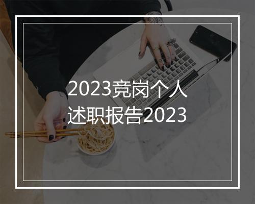 2023竞岗个人述职报告2023