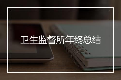 卫生监督所年终总结