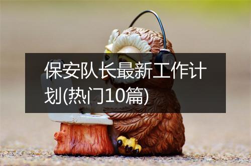 保安队长最新工作计划(热门10篇)