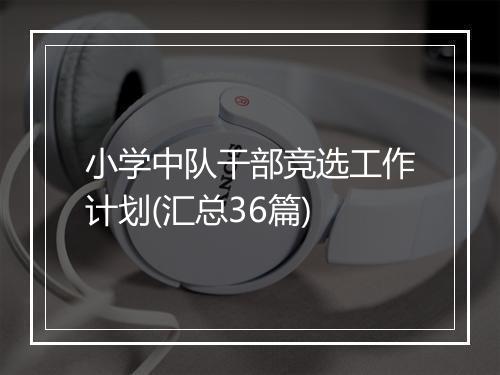小学中队干部竞选工作计划(汇总36篇)
