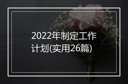 2022年制定工作计划(实用26篇)