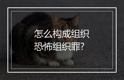 怎么构成组织恐怖组织罪?