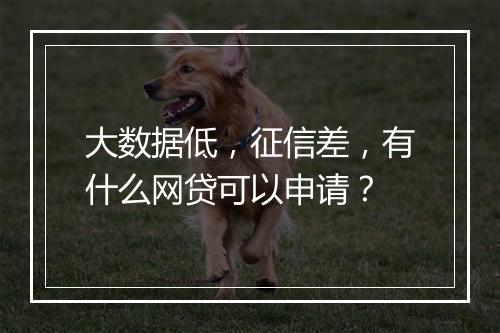 大数据低,征信差,有什么网贷可以申请?