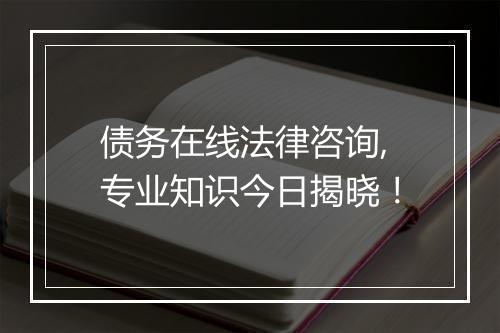 债务在线法律咨询,专业知识今日揭晓!