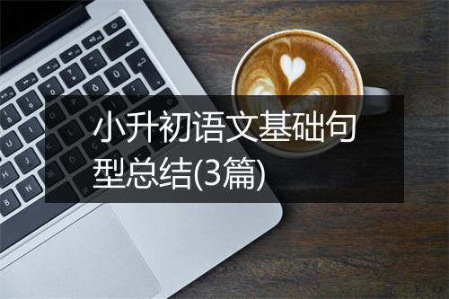 小升初语文基础句型总结(3篇)