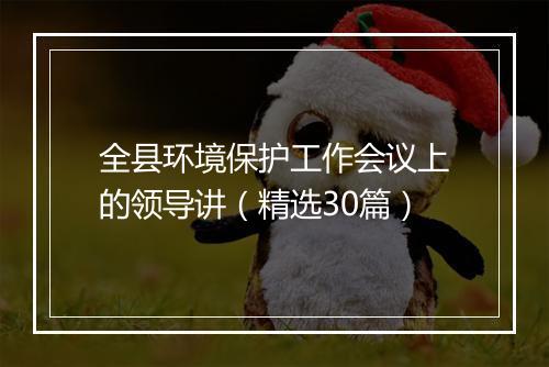 全县环境保护工作会议上的领导讲(精选30篇)