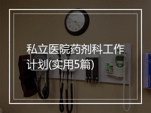 私立医院药剂科工作计划(实用5篇)