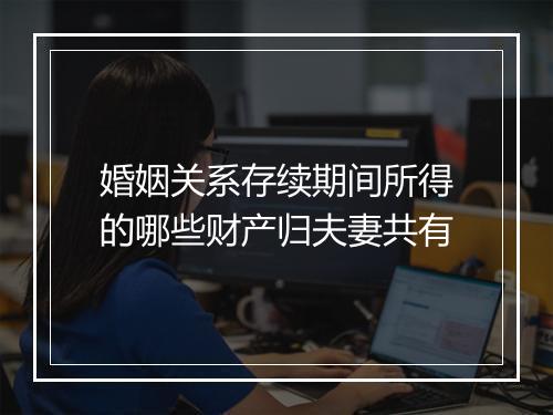 婚姻关系存续期间所得的哪些财产归夫妻共有