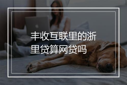 丰收互联里的浙里贷算网贷吗