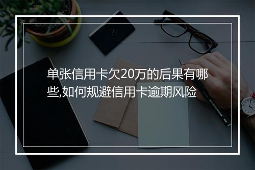 单张信用卡欠20万的后果有哪些,如何规避信用卡逾期风险