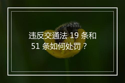 违反交通法 19 条和 51 条如何处罚?