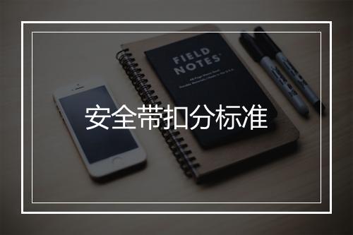 安全带扣分标准