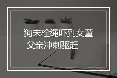 狗未栓绳吓到女童 父亲冲刺驱赶