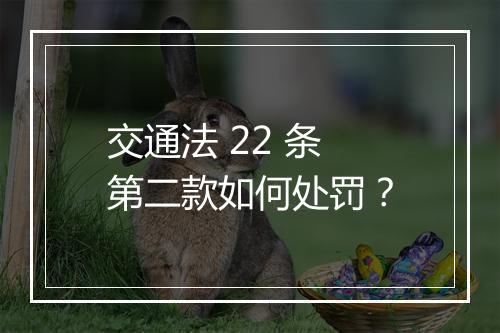 交通法 22 条第二款如何处罚?