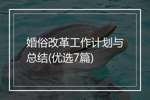 婚俗改革工作计划与总结(优选7篇)