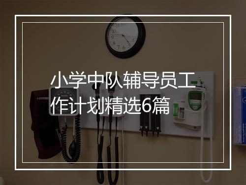 小学中队辅导员工作计划精选6篇