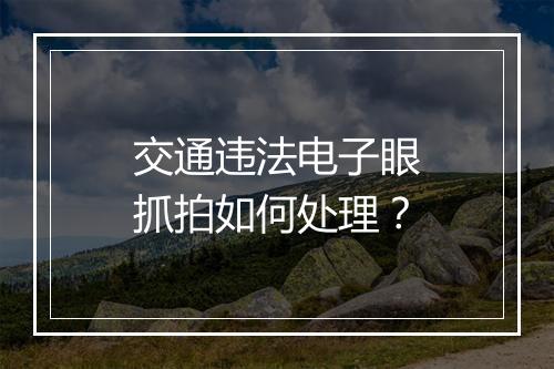 交通违法电子眼抓拍如何处理?