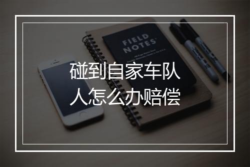 碰到自家车队人怎么办赔偿