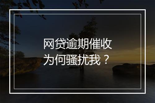 网贷逾期催收为何骚扰我?