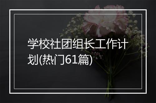 学校社团组长工作计划(热门61篇)