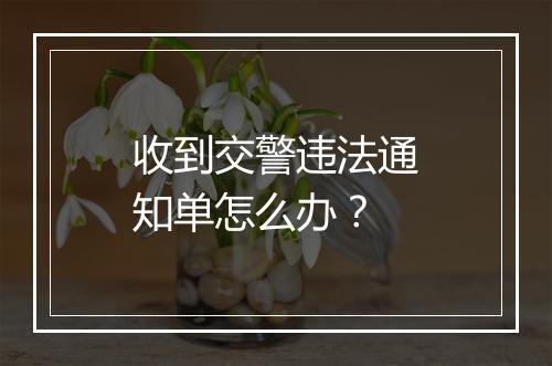 收到交警违法通知单怎么办?