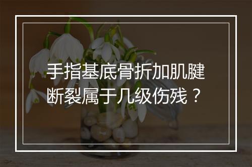 手指基底骨折加肌腱断裂属于几级伤残?