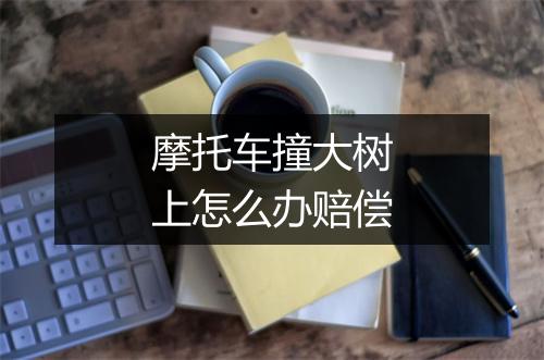 摩托车撞大树上怎么办赔偿