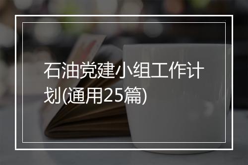 石油党建小组工作计划(通用25篇)