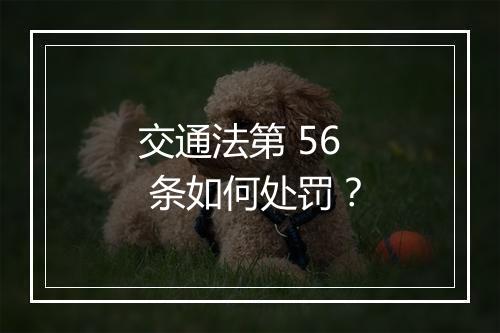 交通法第 56 条如何处罚?