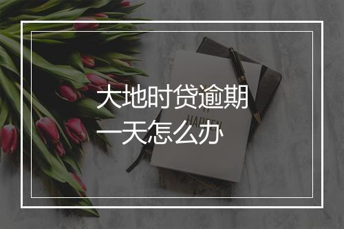 大地时贷逾期一天怎么办