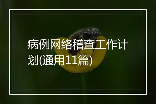 病例网络稽查工作计划(通用11篇)